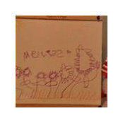 Melissa Leichman's photo