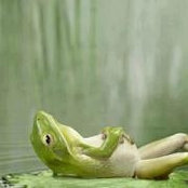 Wafaa Talaat's photo