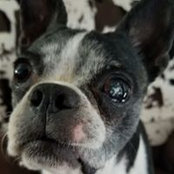 Rachel Slayback's photo