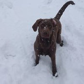 Eric Anderson's photo