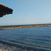 Cristina Feraru's photo