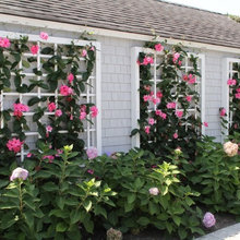 Side flower bed