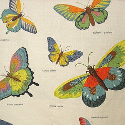 Butterfly fabric document print - Upholstery Fabric