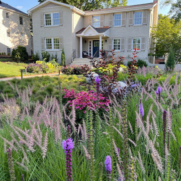 Front Meadow, year 2.