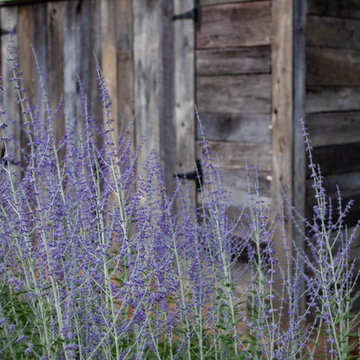 Brookberry Farm
