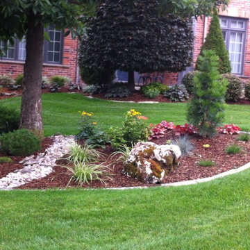 Higgins Residence (New plant design)