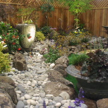 Low Water Gardens
