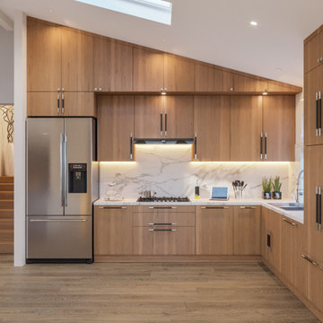 Contemporary House