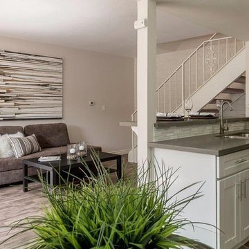 LIVING ROOM & KITCHEN STAGING