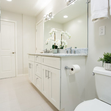 Reston Basement Bathroom Retreat