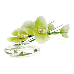 Green Phalaenopsis and Grass Disk Vase - Products