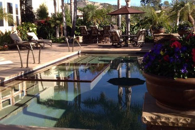Pool - traditional backyard concrete paver and rectangular lap pool idea in Orange County