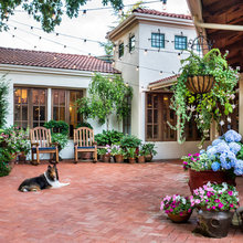 :: Garden Party ::
