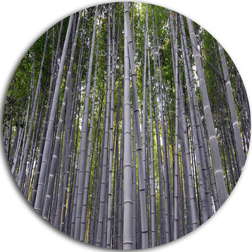 Thick Bamboo Trunks In Japan, Forest Disc Metal Wall Art, 23"
