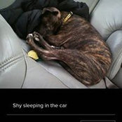 Rainey Petry's photo