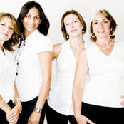 Sharon Radovich's photo