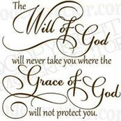 Robin Anderson's photo
