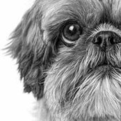 Kathleen Karr's photo