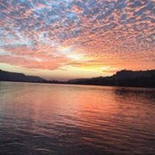 Grace Towles's photo
