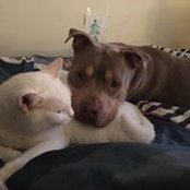 Markisha Greene's photo