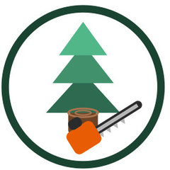 Peoria Tree Removal Co.