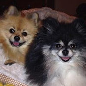 Krystyna Lineberry's photo