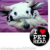 Winnie Chong's photo
