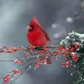 Mary Snyder's photo