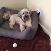 Sandra Menge's photo
