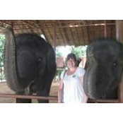 Amy Hetherington's photo