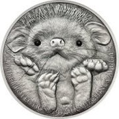 Silverland Silver Coins's photo