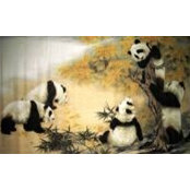 Foto von 施巧玲