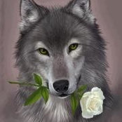 Katrina Hutton's photo