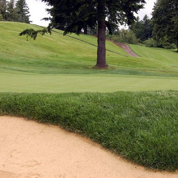 Oregon Lawns