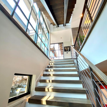 Montana Modern