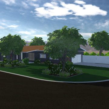 Arcadia Modern Landscape Renovation
