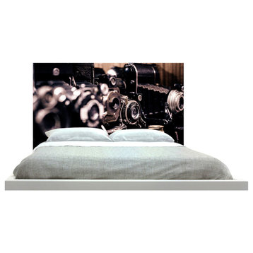 "Cameras" Headboard