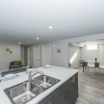 Glenview Heights Basement Apartment Conversion and Whole House Renovation