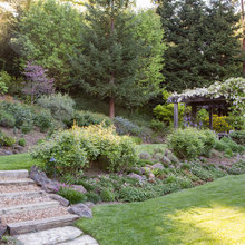 the veg garden