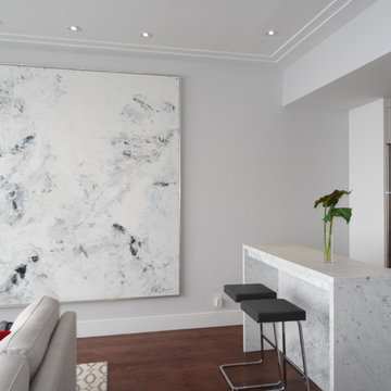 Gentleman's Modern Penthouse Condo