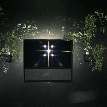 Bang & Olufsen home theaters and WiFi entertainment A/V systems.