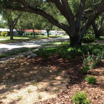 Stewart blvd clearwater