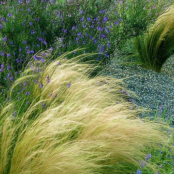 Impressionen aus der Natur