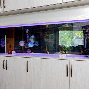 Contemporary Fish Tank Kitchen Design Richmond, VA
