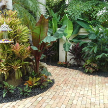 South Florida Landscape
