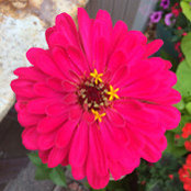 Libby Heine's photo