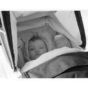 Bettina Kibbelaar-Huber's photo