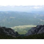 Eduard Constantin's photo