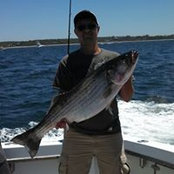 Matthew Hall's photo