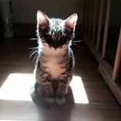 Lora Harris's photo
